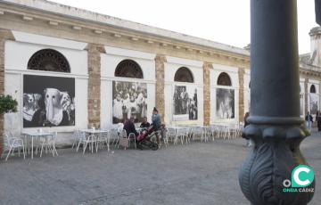 Una de las fachadas del Mercado Central con la exposición fotográfica cofrade