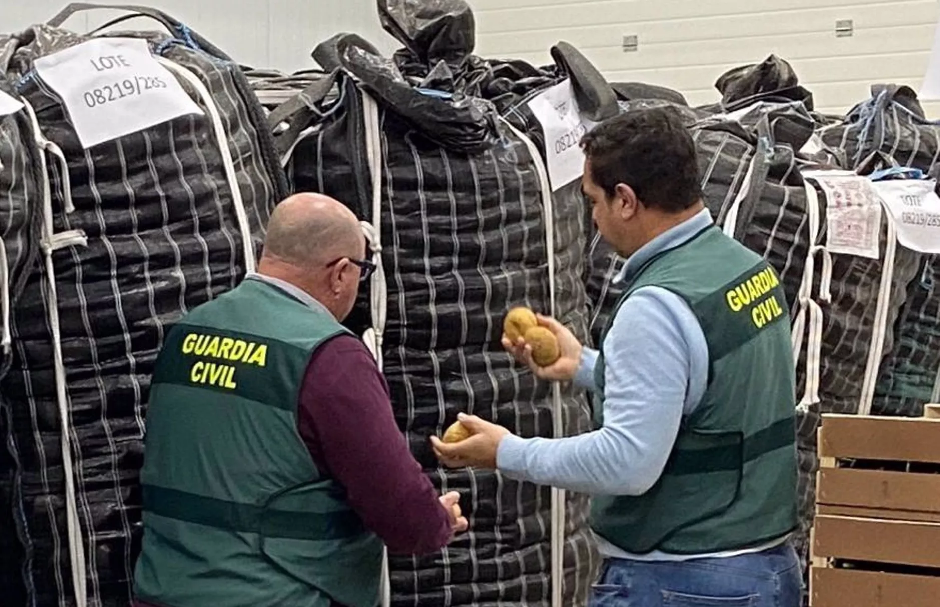 Guardias civiles inspeccionan patatas etiquetadas fraudulentamente