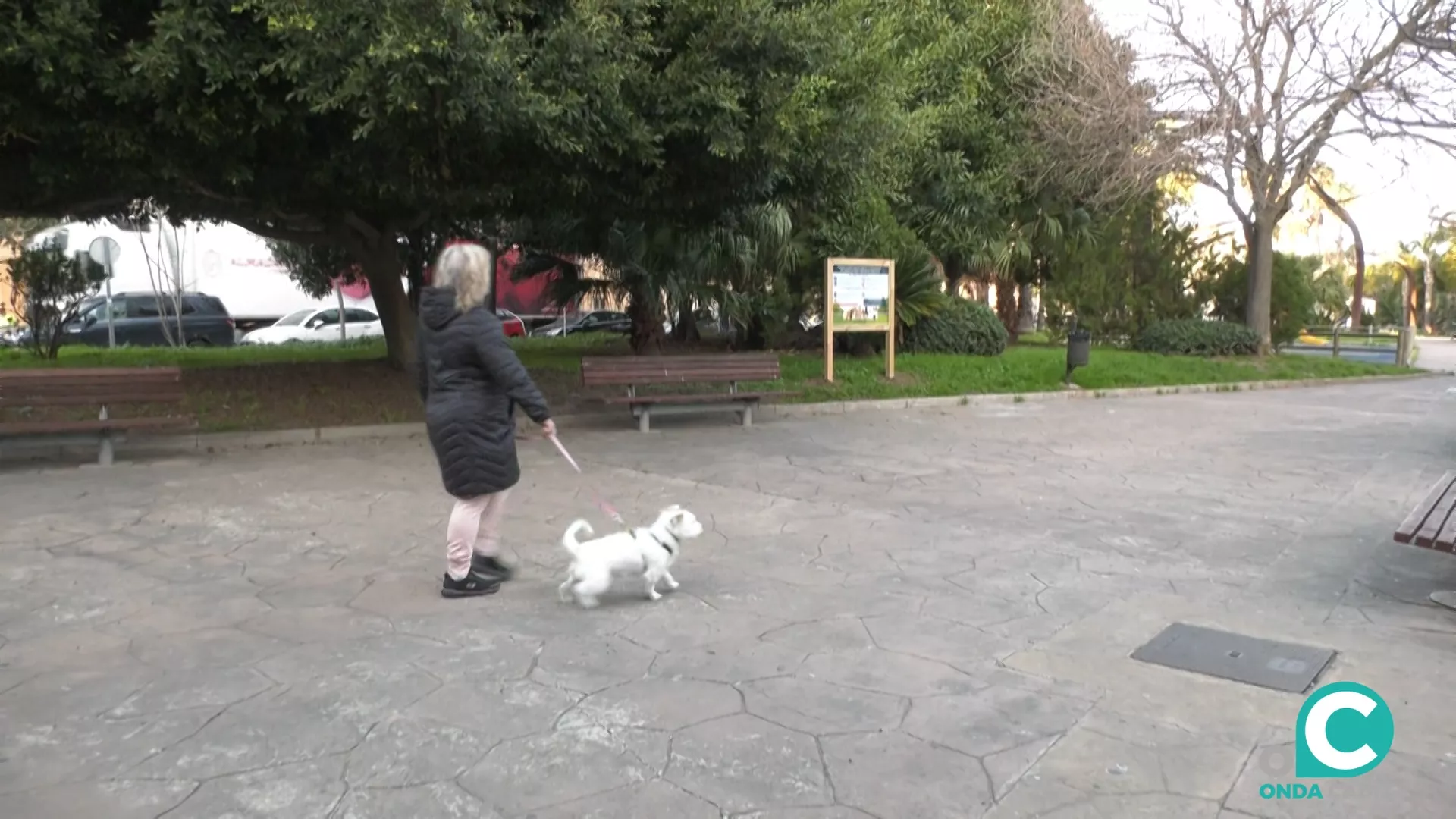 Una vecina de Cádiz paseando a su mascota por las calles de la ciudad. 