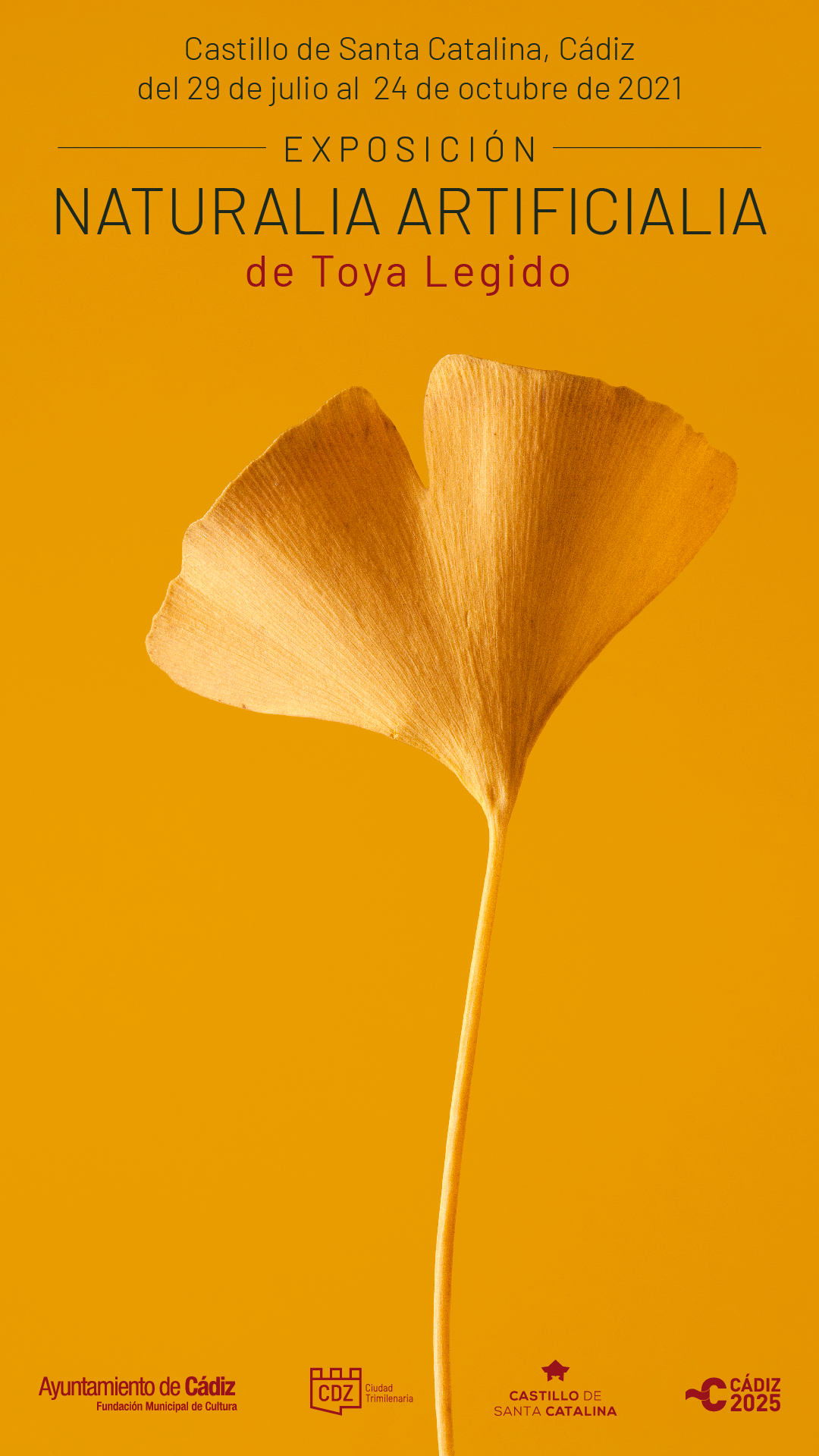 "naturalia y artificialia". toya legido