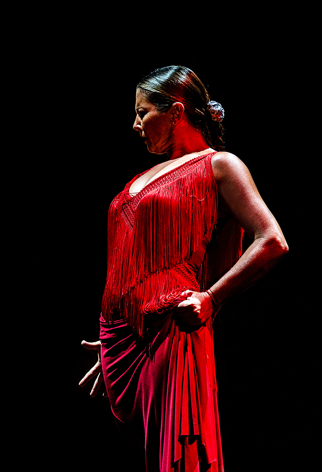 Ballet flamenco sara baras: alma 