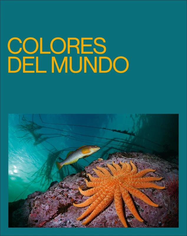 "colores del mundo"