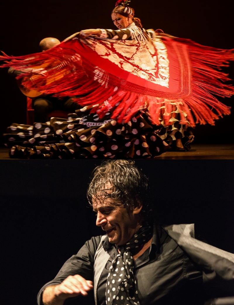 Flashmob coreografiado por los hermanos ogalla