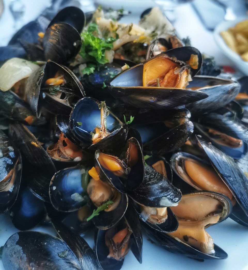Mejillonada 2026