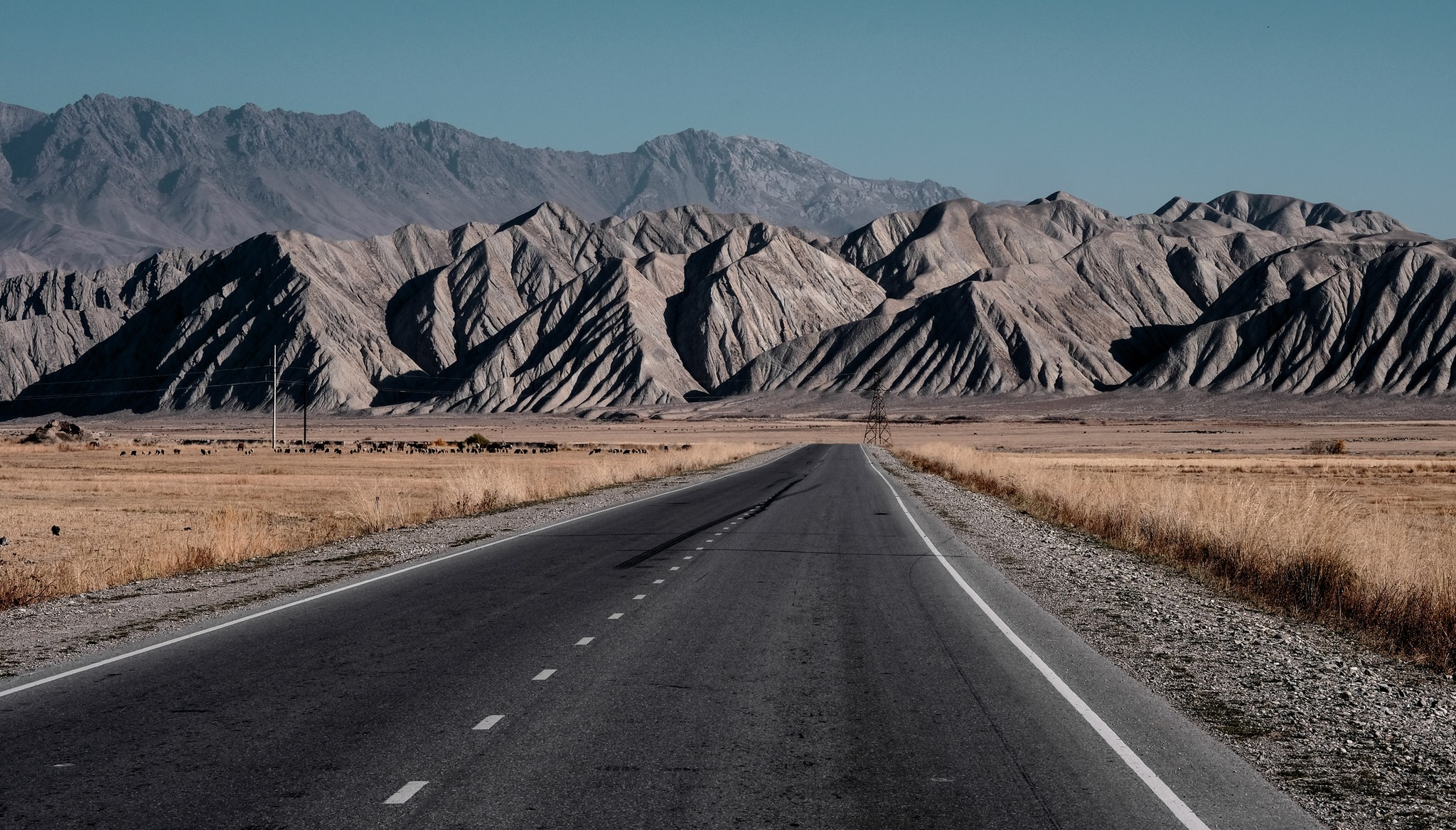 "skin fields". Àlex domènech