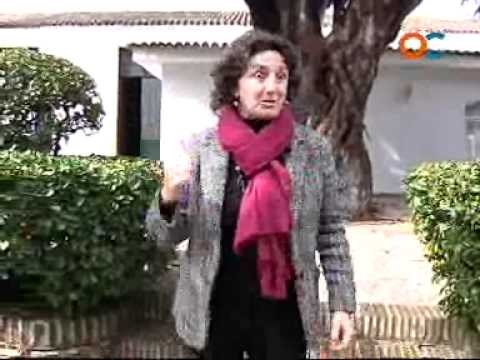 Reporteros oc bahía
