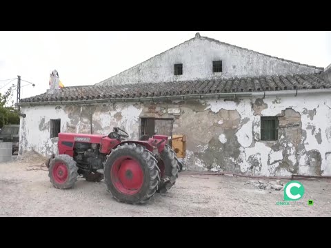 La primavera silenciosa