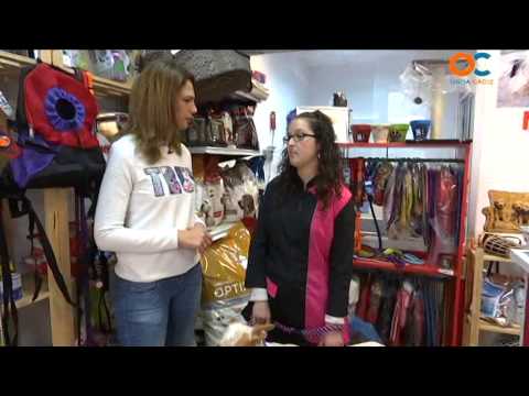 Animales y cÍa