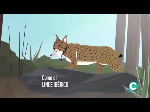 La primavera silenciosa