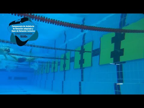 Natación adaptada, IV Cto. Andalucía