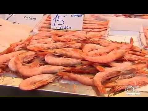 Gente de cÁdiz
