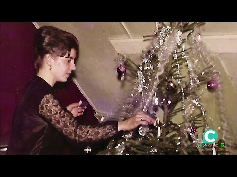 Vidas de ida y vuelta