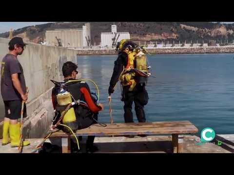 El Muelle