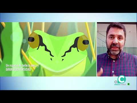 La primavera silenciosa