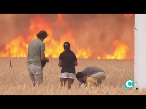 La primavera silenciosa