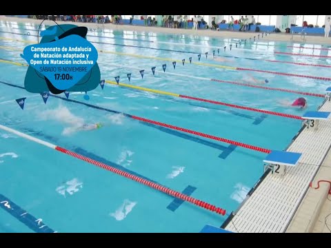 Natación adaptada, IV Cto. Andalucía
