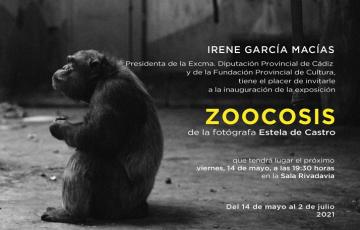 "zoocosis". estela de castro