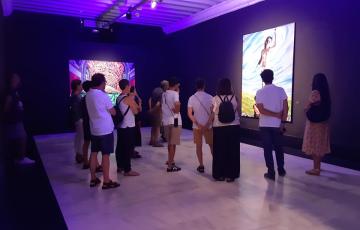Visitas guiadas a las exposiciones del castillo de santa catalina y del ecco