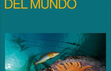 "colores del mundo"