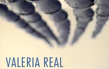 "del mar al cielo". valeria real