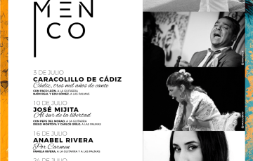 Vii estival flamenco