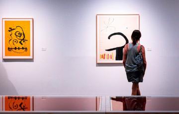 "el lenguaje del color. miró íntimo"