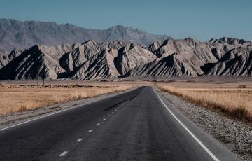 "skin fields". Àlex domènech