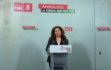 noticias cadiz PSOE Araceli.jpg