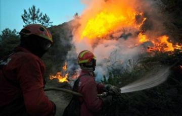 noticias cadiz incendio forestal_4.jpg