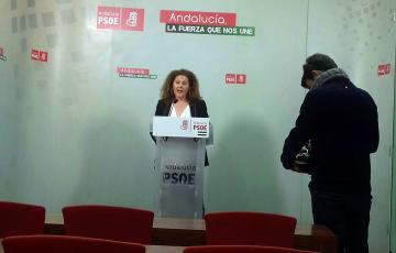 noticias cadiz psoe araceli_0.jpg