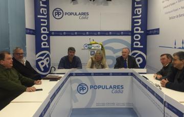 noticias cadiz Consejo Asesor PP Cádiz Capital.jpeg