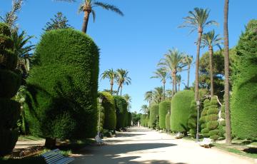 noticias cadiz parque genoves_2_1.jpg