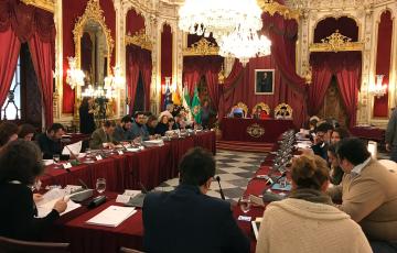 noticias cadiz pleno diputacion11.jpg