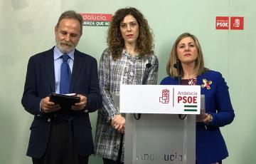 noticias cadiz PGE PSOE.JPG