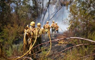 noticias cadiz incendios forestales.jpg