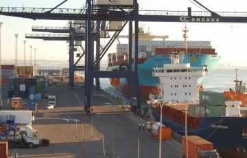 noticias cadiz sufragara-la-terminal-de-contenedores-de-Cadiz-800x445.jpg