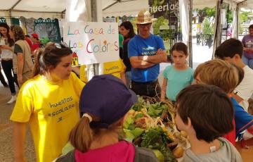 noticias cadiz huertos escolares 2.jpg