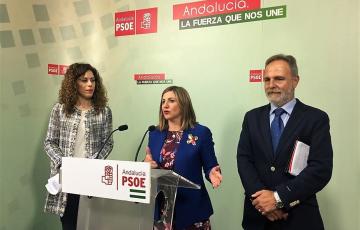 noticias cadiz TSJA pp diputacion.jpg