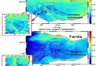 noticias cadiz clorofila.jpg