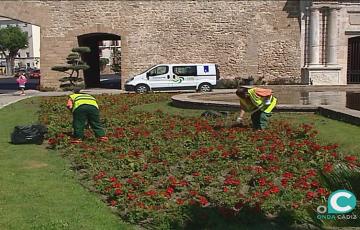 noticias cadiz operarios parques y jardines cadiz_0.jpg