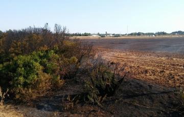 noticias cadiz fuego pago del humo.jpg