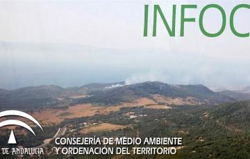 noticias cadiz incendio algeciras_0.jpg