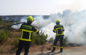 noticias cadiz incendio pasto jerez.jpeg