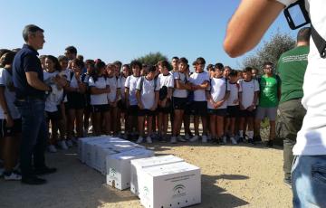 noticias cadiz Suelta aves PN  2.jpeg