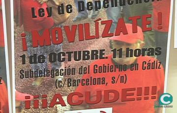 noticias cadiz cartel mafnifa pensOK.jpg