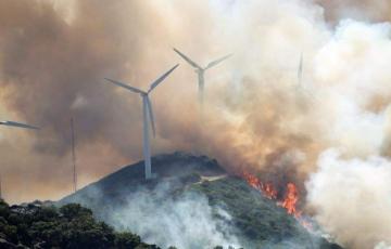 noticias cadiz incendio forestal_5.jpg