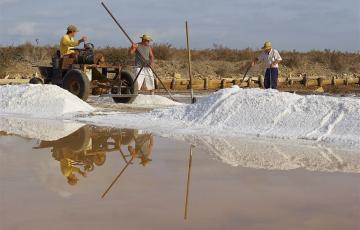 noticias cadiz salinas_1.jpg