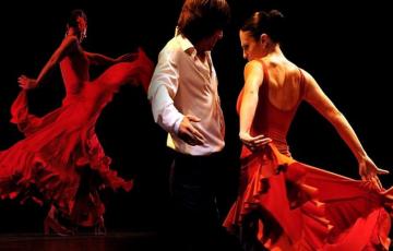 Flamenco-foto-tratta-da-Google-780x470.jpg