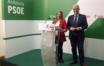 noticias cadiz foto psoe campaña.jpg