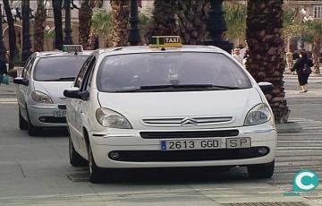 noticias cadiz taxis_1_0_0.jpg